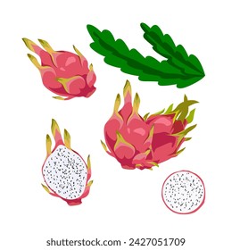 Set of Dragon fruits with slice and leaf isolated on white background. vector illustration.