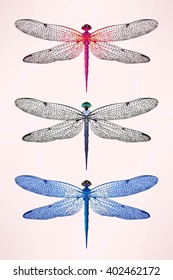 Set of dragonflies