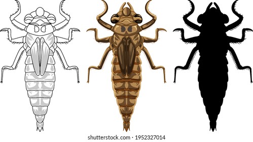 Set of dragonfly beetle in three style illustration