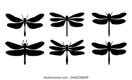 Set of dragonfly black silhouette on white background. Insect vector illustration isolated graphic. Collection drawing cut out and element cartoon decoration clip art.