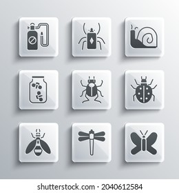 Set Dragonfly, Butterfly, Mite, Beetle bug, Fireflies bugs in jar, Pressure sprayer and Snail icon. Vector