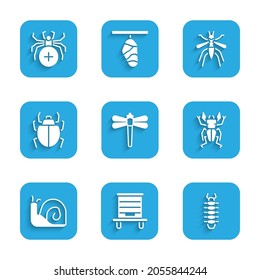 Set Dragonfly, Hive for bees, Centipede, Beetle deer, Snail, Mite, Mosquito and Spider icon. Vector