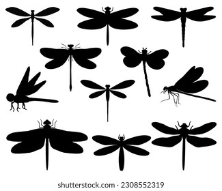 Set of dragonfly Silhouette Bundle, Insect Icons, Birds Bundle