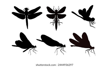 Set of dragonfly silhouette isolated on white background	