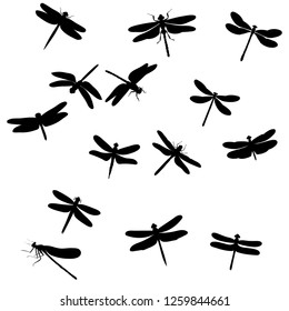 set of dragonfly silhouettes, insects, on white background