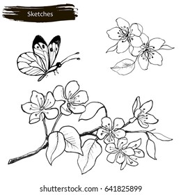 Set drawing by hands of spring flowers. A branch of blossoming cherry, pear and butterfly.