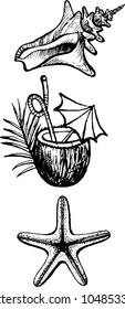 The set of drawing of cockle-shell, coconut cocktail, starfish. The outline vector illustration isolated on a white background.