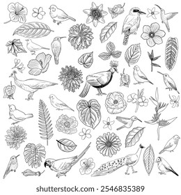 set of drawing flowers, birds and leaves, floral graphic design elements at white background, hand drawn illustration