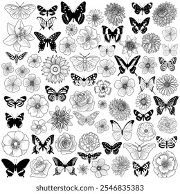 set of drawing flowers and butterflies, floral graphic design elements at white background, hand drawn illustration