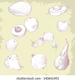 Set of drawing fruits, vintage vector illustration