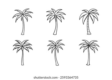 Set of a drawing palm tree vector.