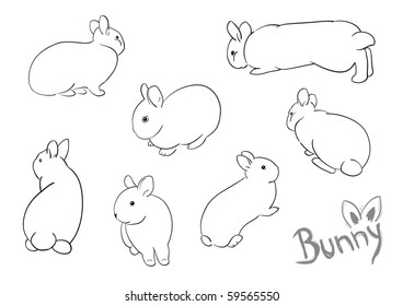 set of drawing small bunny