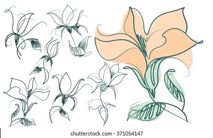  
 set Drawing vector graphics with floral pattern for design. Floral flower natural design. Graphic, sketch drawing.  tulip.

