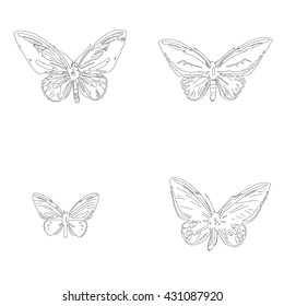 Set of drawing vector isolated outlines of common green birdwing, Cape York Birdwing, Priam's Birdwing, Northern Birdwing - Ornithoptera priamus
