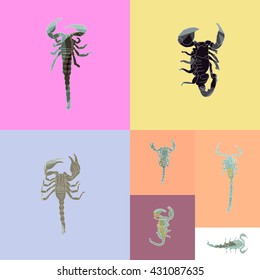 Set of drawing vector isolated poly scorpions pattern