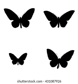 Set of drawing vector isolated silhouettes of butterflies - common green birdwing, Cape York Birdwing, Priam's Birdwing, Northern Birdwing - Ornithoptera priamus