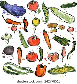 Set of drawing vegetables colored by watercolor with stained,  isolated food color elements, hand drawn vintage vector illustration