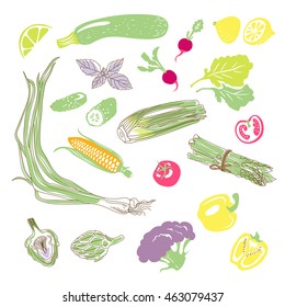 Set of drawing vegetables: cucumber, zucchini, tomato, peppers, radishes, lettuce, lemon, corn, onions, cauliflower, celery, asparagus, artichoke. Vector illustration, isolated on white.