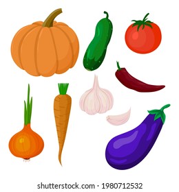 set of drawing vegetables, vector illustration