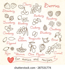 Set drawings berries for design menus  recipes   packages product  Vector Illustration 