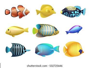 Set of drawings of bright exotic tropical fish from coral reefs. Vector graphics