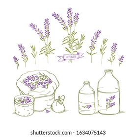 Set of drawings brushes of lavender flowers, a bag of herbs and glass bottles of oil. Vector. Vector.