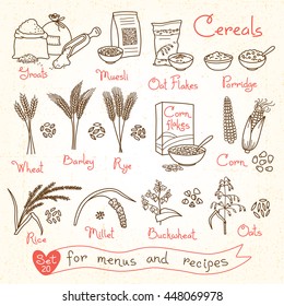 Set drawings of cereals for design menus, recipes and packing. Flakes, groats, porridge, muesli, cornflakes, oat, rye, wheat, barley, millet, buckwheat, rice, corn. Vector illustration.