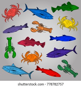 A set of drawings of different colors on the theme of seafood ,. Salmon, tuna, cod, lobster, crab. Vector illustration