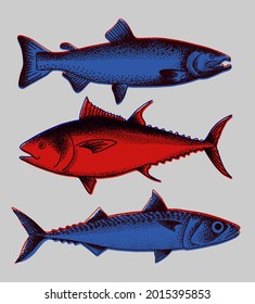 Set of drawings of different seafood. Good quality handmade. Engraving. Can be repainted in a different color.