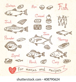 Set drawings of fish for design menus, recipes and packing. Trout, herring, sprat, flounder, perch, carp, tuna, salmon, roe, canned. Vector illustration.