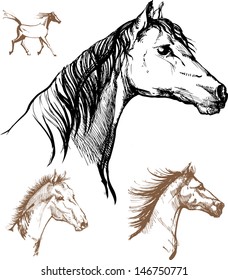 Set of drawings heads of horses