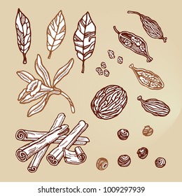 A set of drawings of kitchen spices