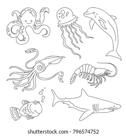 Set of drawings of marine residents - a shark, squid, fish, jellyfish, dolphin, shrimp, octopus. Thin black line vector.