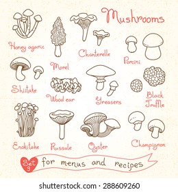 Set drawings of mushrooms for design menus, recipes and packages product