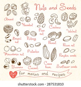 Set drawings of nuts and seeds for design menus, recipes and packages product. Vector Illustration.