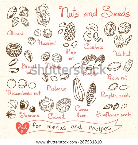 Set drawings of nuts and seeds for design menus, recipes and packages product. Vector Illustration.