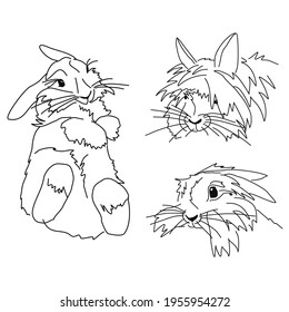 Un conjunto de dibujos de un conejo en diferentes poses. Imagen lineal de un animal pequeño