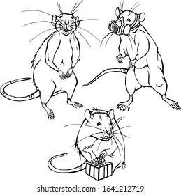 A set of drawings. Rats in different positions. . A rat with a smile, a gift and a respirator. The outline of the isolated illustration on a white background. 