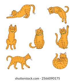 a set of drawings of red cats, hand-drawn in a cartoon style.