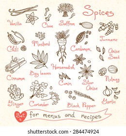 Set drawings of spices for design menus, recipes and packages product. Vector Illustration.