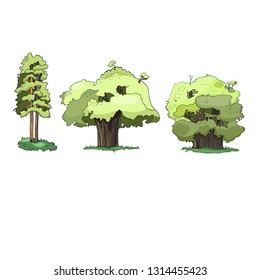 Set of drawings in vector, color illustrations, different types of trees
