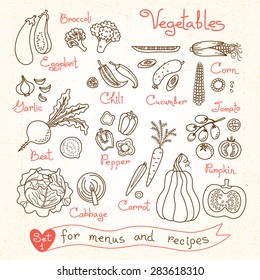 Set drawings of vegetables for design menus, recipes and packages product. Vector Illustration.