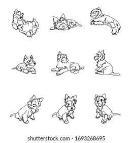 Set of drawings of the Yorkshire Terrier puppy in different poses. Dog Linear Vector