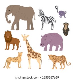 Set of drawn african wild animals. Elephant, zebra, lemur, chimpanzee, lion, cheetah, giraffe, leopard and hippo vector illustration.