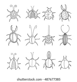 Set of the drawn beetle. Love insects. Entomologist's collection. Bugs