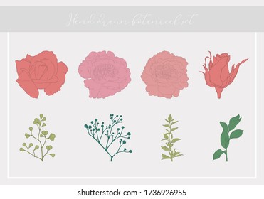 Conjunto de elementos botánicos dibujados. Colección de vectores para tarjeta, tela, papel, páginas web, boda, invitación, guardar la fecha, vacaciones. Esbozos aislados de rosas, peonías, gypsophila, hojas

