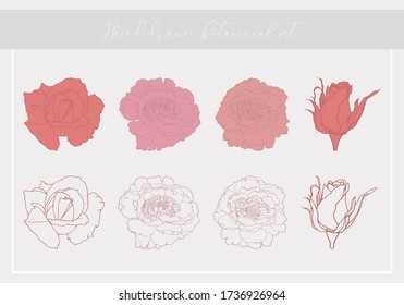 Set of drawn botanical elements. Vector collection for card, fabric, paper, web pages, wedding, invitation, save the date, holiday. Isolated on white background sketches of peonies, rosebuds

