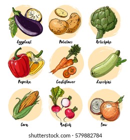 Set von gezapftem Gemüse. Frische Ernte. Landwirtschaftliche Erzeugnisse. Auberginen, Kartoffeln, Artischocken, Paprika, Karotten, Zucchini, Mais, Radieschen, Zwiebeln