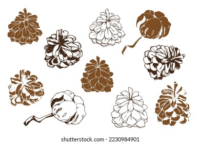Set of drawn cones. Sketch cones. Cotton. Forest elements for decoration. New Year. Winter holidays. Decor. Forest. Cone. Sketching. ink.
