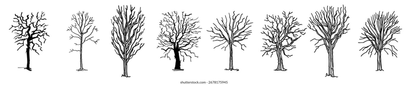 Set of drawn dead tree vector illustration